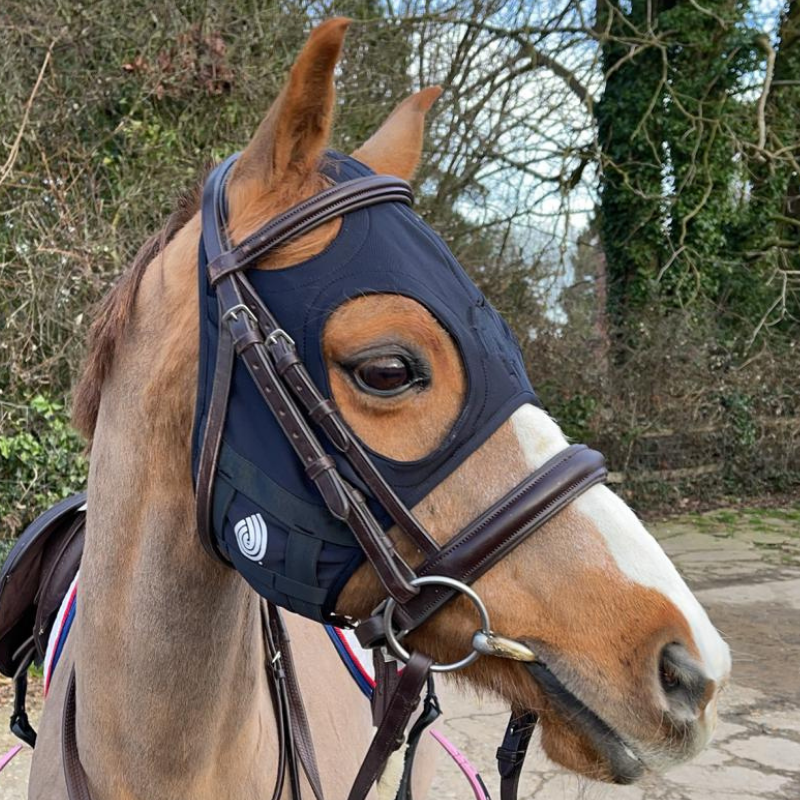 Liquid Titanium Calming Mask – Pro Ponies UK