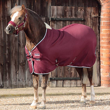 Premier Equine