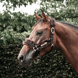 Kentucky Nylon Sheepskin Headcollar