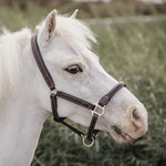 Leather Halter Sheepskin