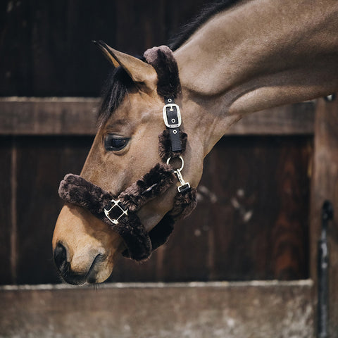 Sheepskin Headcollar