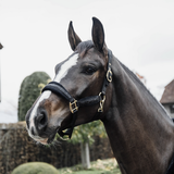 KENTUCKY GLITTER STONE HALTER