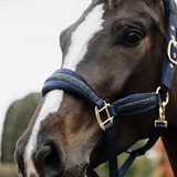 KENTUCKY GLITTER STONE HALTER