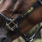 ANATOMIC LEATHER HALTER