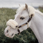 Leather Halter Sheepskin