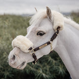 Leather Halter Sheepskin