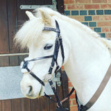PRO PONIES UK, HAND MADE IN UK Leather Bridle With Flash or Grackle Noseband
