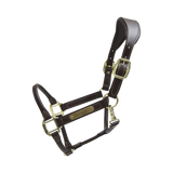 ANATOMIC LEATHER HALTER