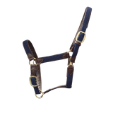 KENTUCKY PLAITED NYLON HALTER