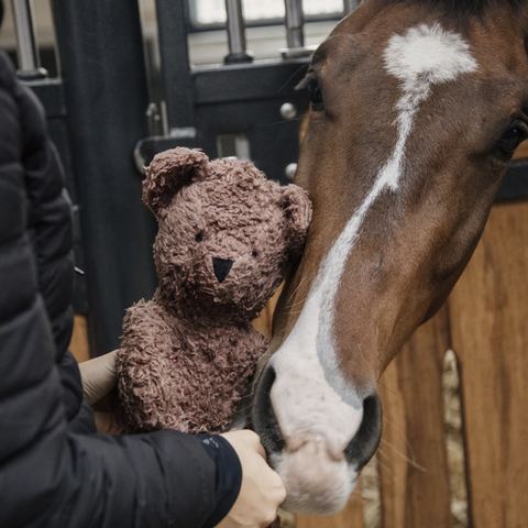 RELAX HORSE TOY SOFT BEAR