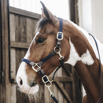 KENTUCKY PLAITED NYLON HALTER