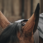 KENTUCKY HORSE RAINCOAT HURRICANE