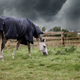Kentucky All Weather Hurricane Turnout Rug Navy 50g