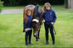 Pro Ponies Uk Hoodies