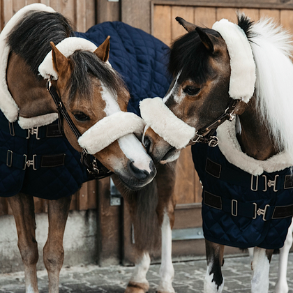 Pony Show Rug Navy